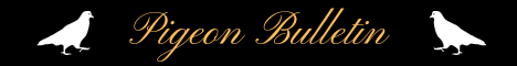 Pigeon Bulletin